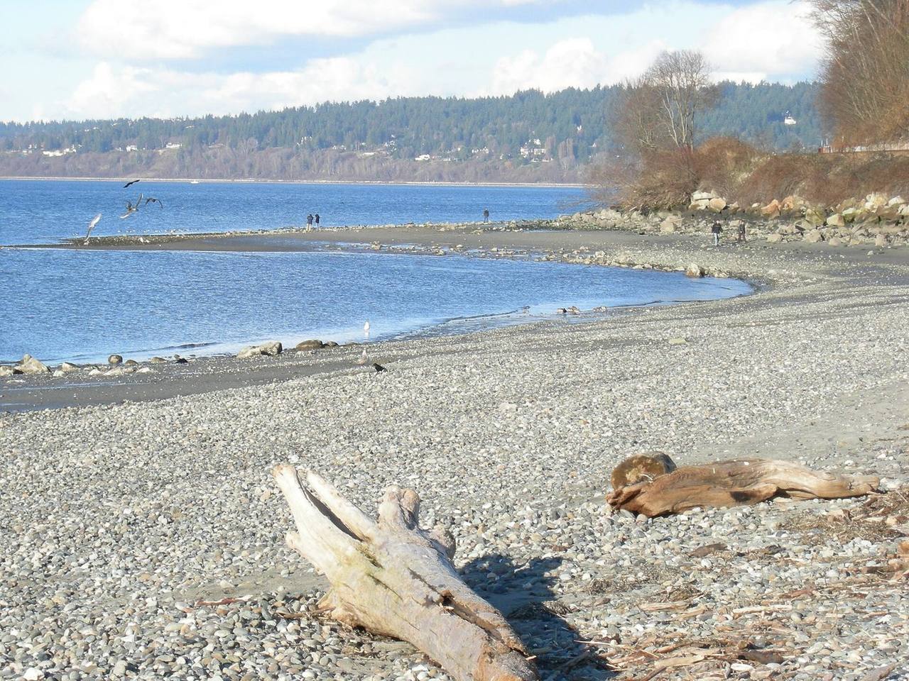 North Beach — Seattle-area real estate