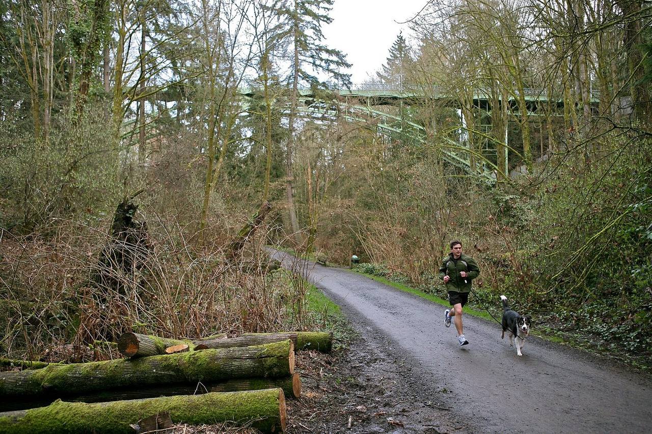 Ravenna — Seattle-area real estate