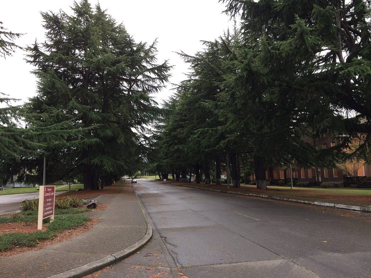 Sand Point — Seattle-area real estate