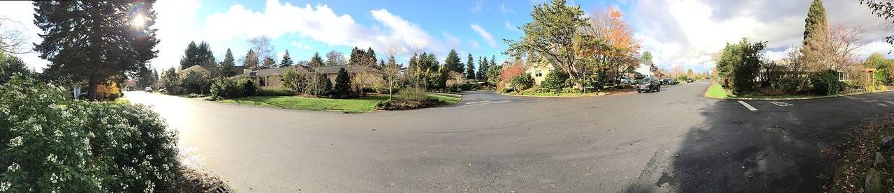View Ridge — Seattle-area real estate